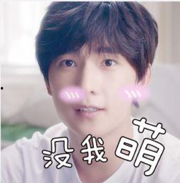 杨洋表情包大全,解锁明星魅力瞬间